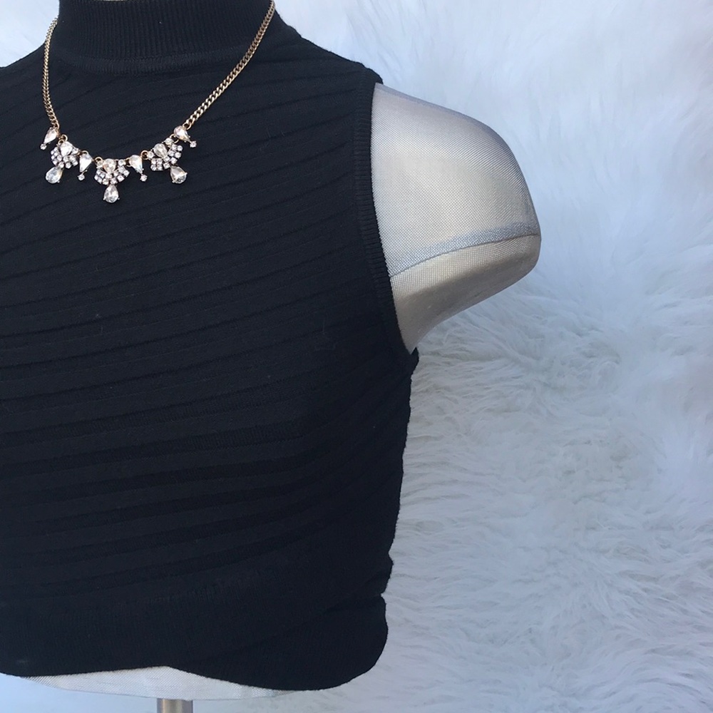 EXPRESS | Black fitted mock neck crop top express